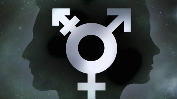 Biologische Elemente von Mann und Frau in einem Körper: das Symbol für Intersexualität. Foto: Imago